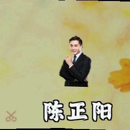 陈正阳